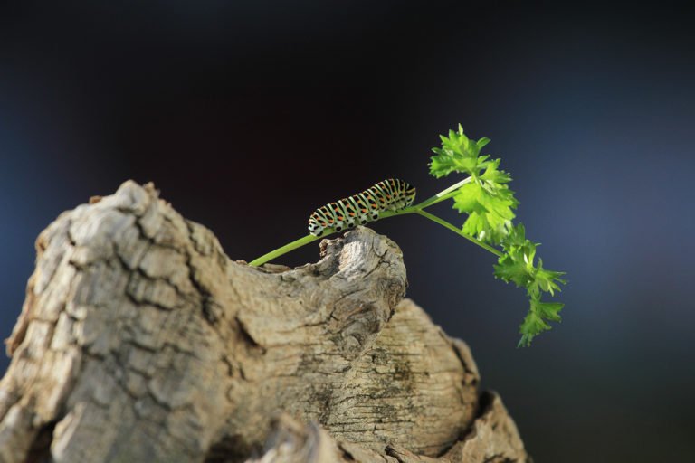 Entschleunigung und Achtsamkeit mit RhiaYoga in Winterthur und Dinhard